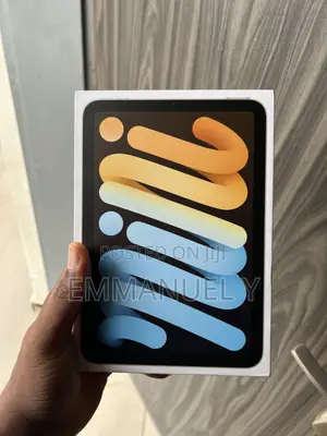 Apple iPad mini 6 256 GB Gray