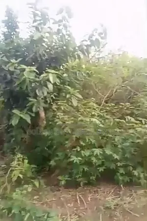 Obasanjo Estate, After Atlas Opposite Shasha, Ado Ekiti