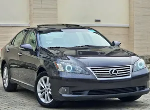 Lexus ES 350 2010 Gray