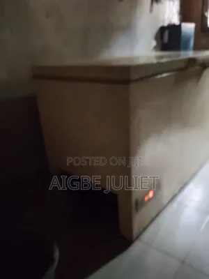 Fridge 250l