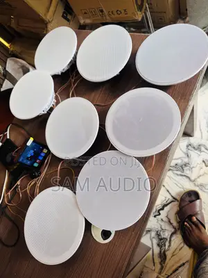 Ceiling Speaker Seven Unit With One Four Inches Wall Amplifier