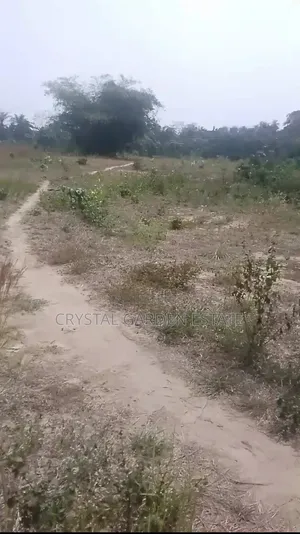 50x100sq'meter:Land for Sale at Obingwa Abia State.