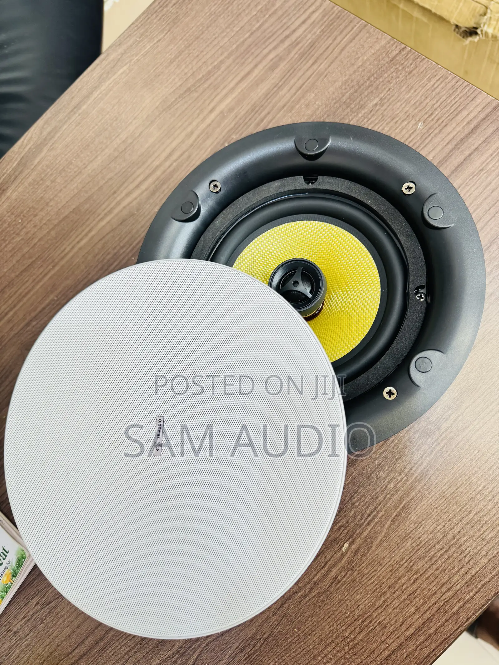 200watts Ceiling Speaker (Sb Audio)