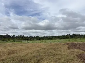 8 Acres Farmland With Two Boreholes in Iroko Near Moniya Train Station