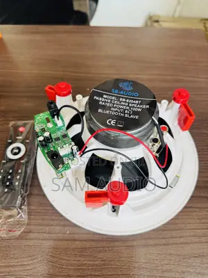 Single Bluetooth Ceiling Speaker With Remote
