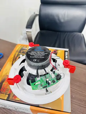 Single Bluetooth Ceiling Speaker With Remote