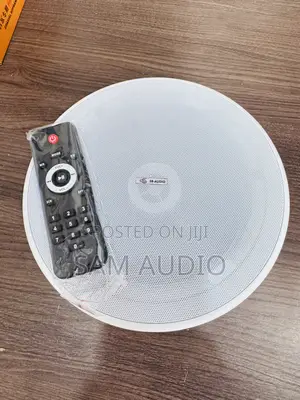 Single Bluetooth Ceiling Speaker With Remote