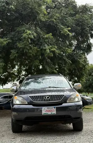 Lexus RX 330 2004 Gray