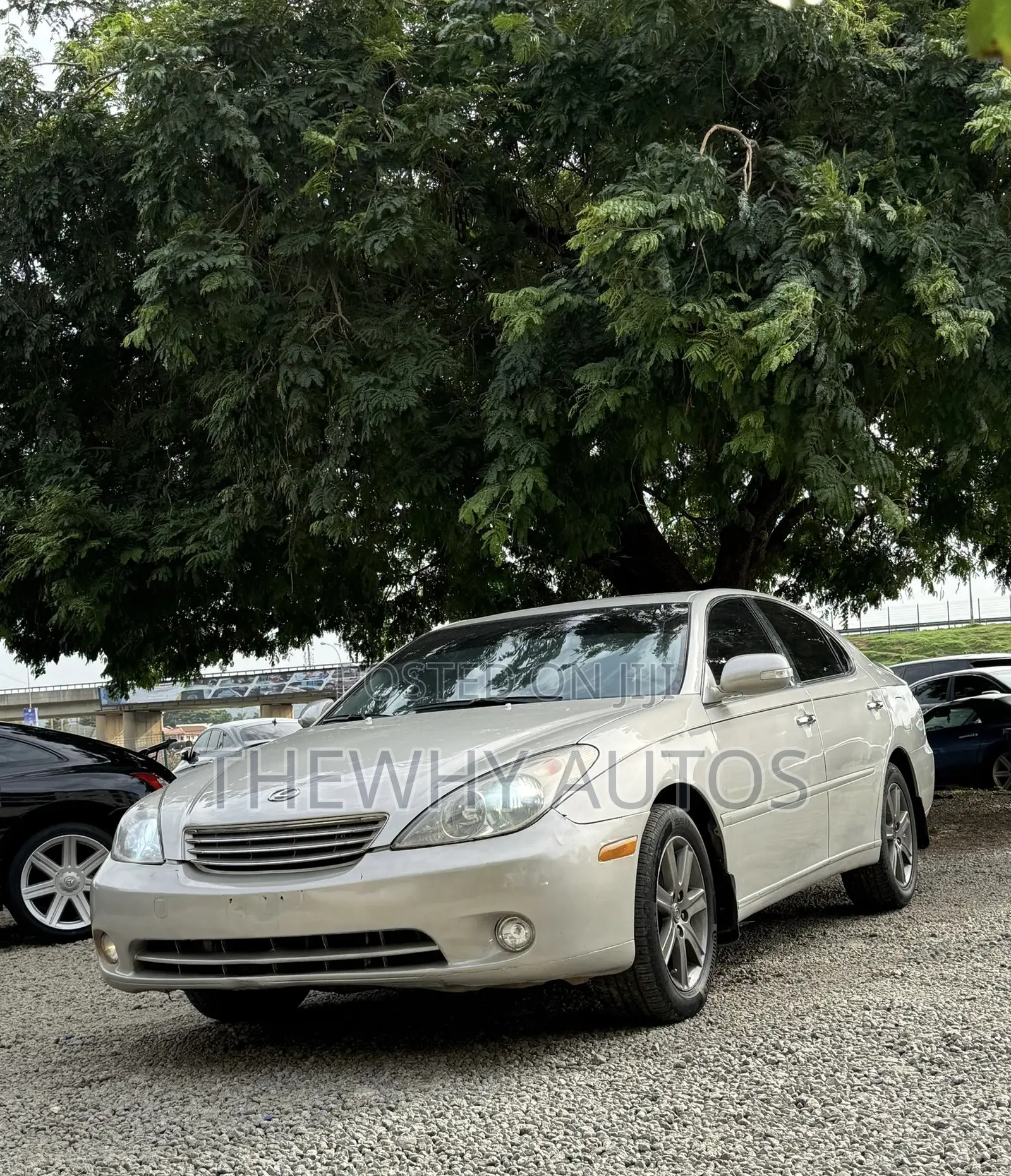 Lexus ES 300 2003 Gray