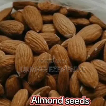 Chai and Almond Seed