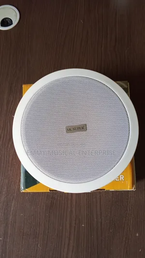 Passive Ceiling/Pop Speaker