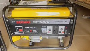 Senwi 7800e2 3kva Generator