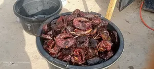 Dry Catfish