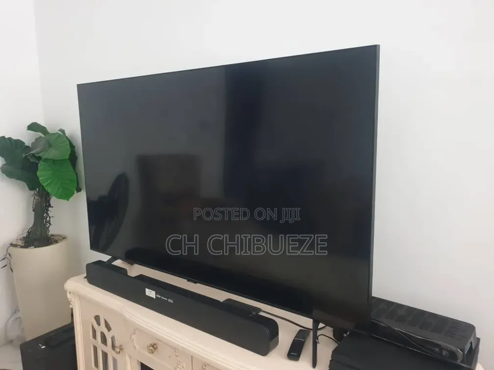 Television and Shelves