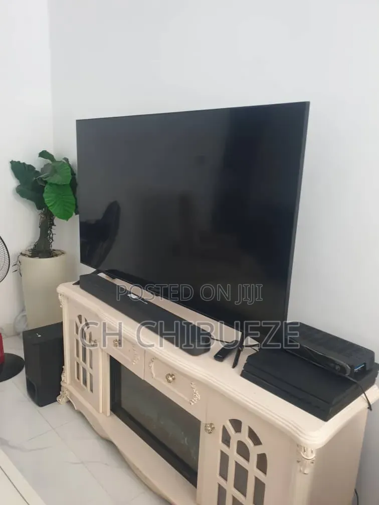 Television and Shelves