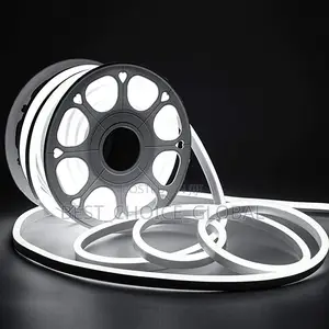 Neon Rop Light 50meter in Carton White Color