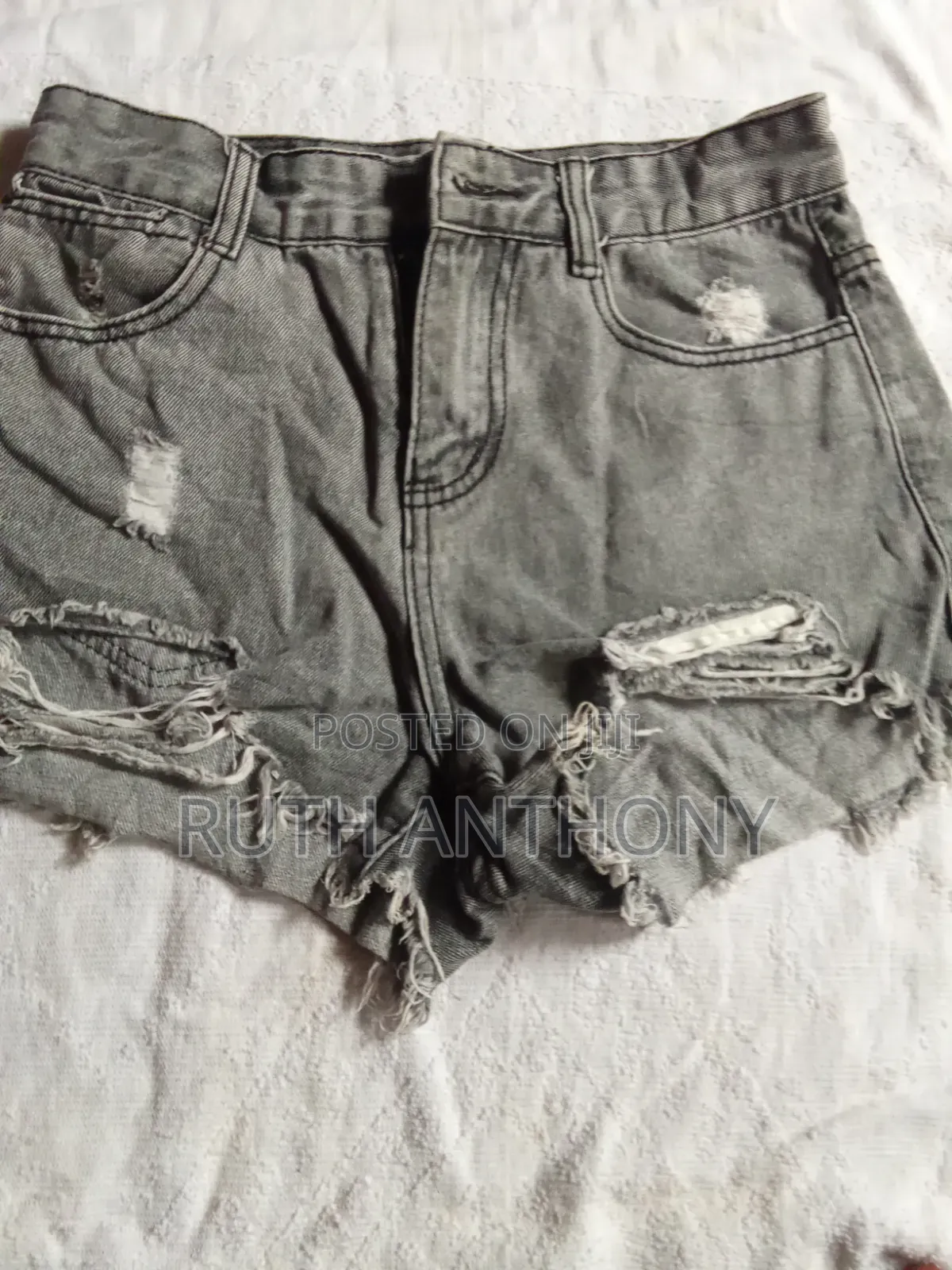 Tailored Shorts