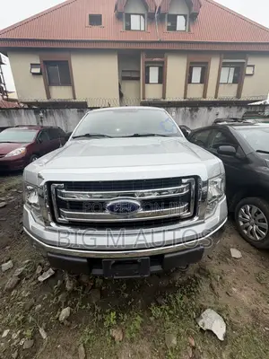 Ford F-150 2013 Silver