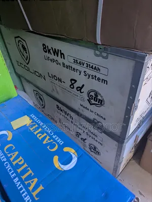 Ecolion 8kwh 24v Lithium Ion Solar Inverter Batteries Available 