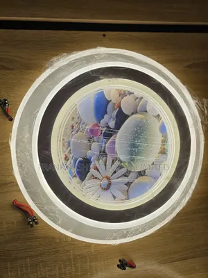 Led Ceiling Fitting