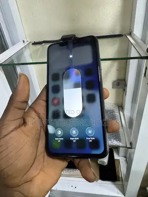 Apple iPhone 11 Pro Max 256 GB Gray