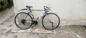 Bicycle "Adult Size"