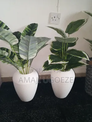 Artificial Grass, Plants And Vases