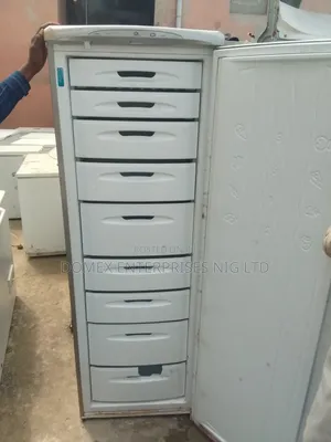 Standing Freezer for Block