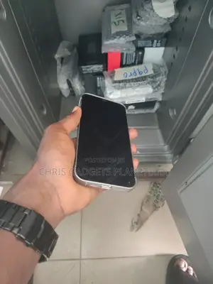 Apple iPhone 12 Pro Max 256 GB