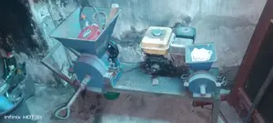 Tomatoes Grinding Machine