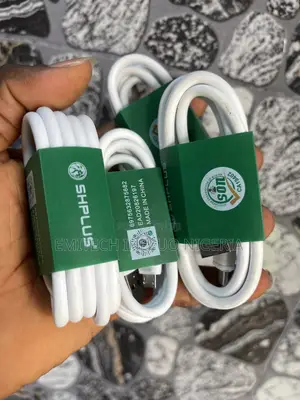 Usb Cord to Pin Mouth Charger