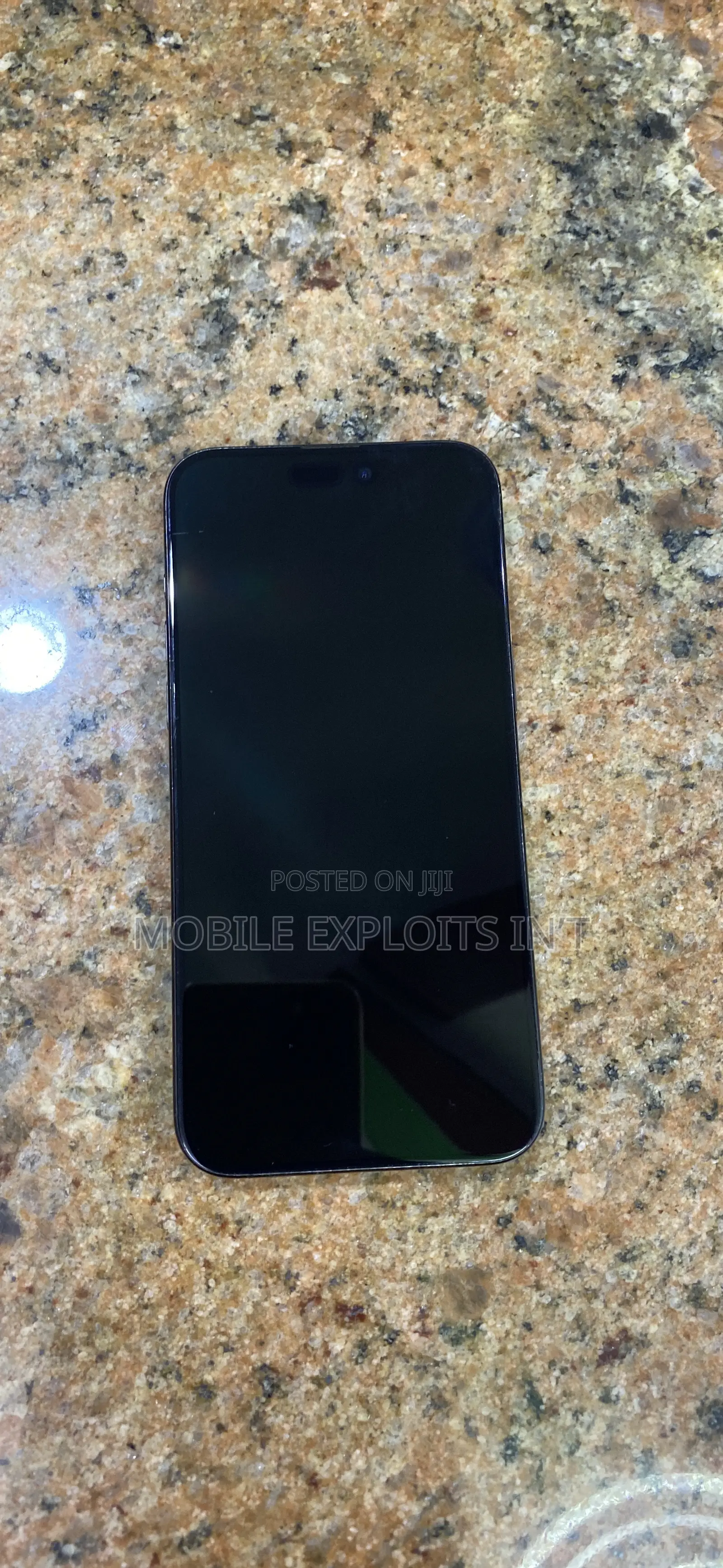 Apple iPhone 15 Pro Max 256 GB Gray