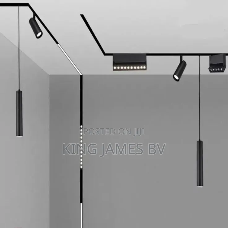 Low 48 Voltage Magnetic Track Light