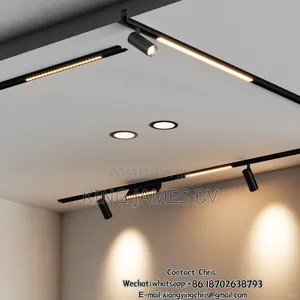 Executive Magnetic Track Light