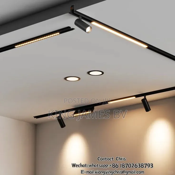 Executive Magnetic Track Light