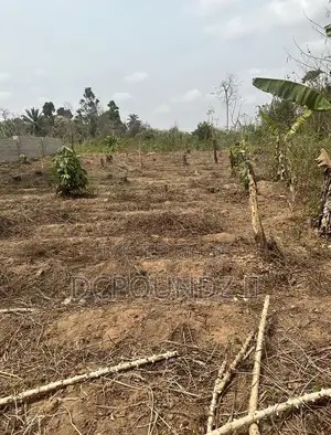 A Plot Of Land For Sale