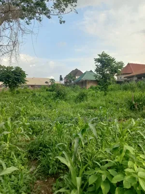 2 Plots of Land at Elewuro Off Akobo