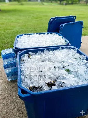 Ice Chest Rental Lagos | Ice Chests Available