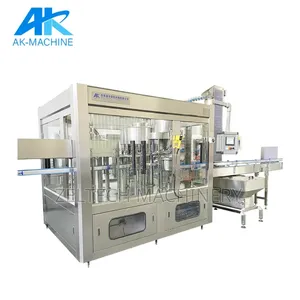 Bottle Water Filling Packaging Machine