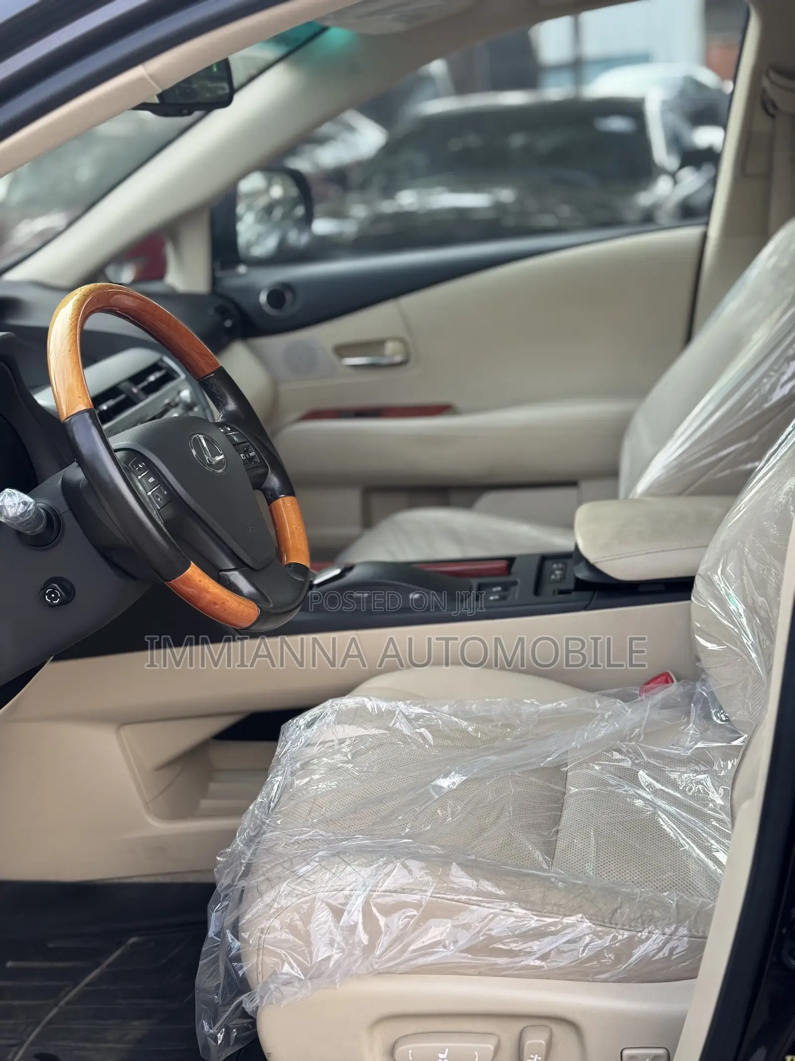 Lexus RX 350 2010 Gray