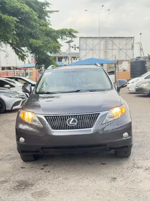 Lexus RX 350 2010 Gray