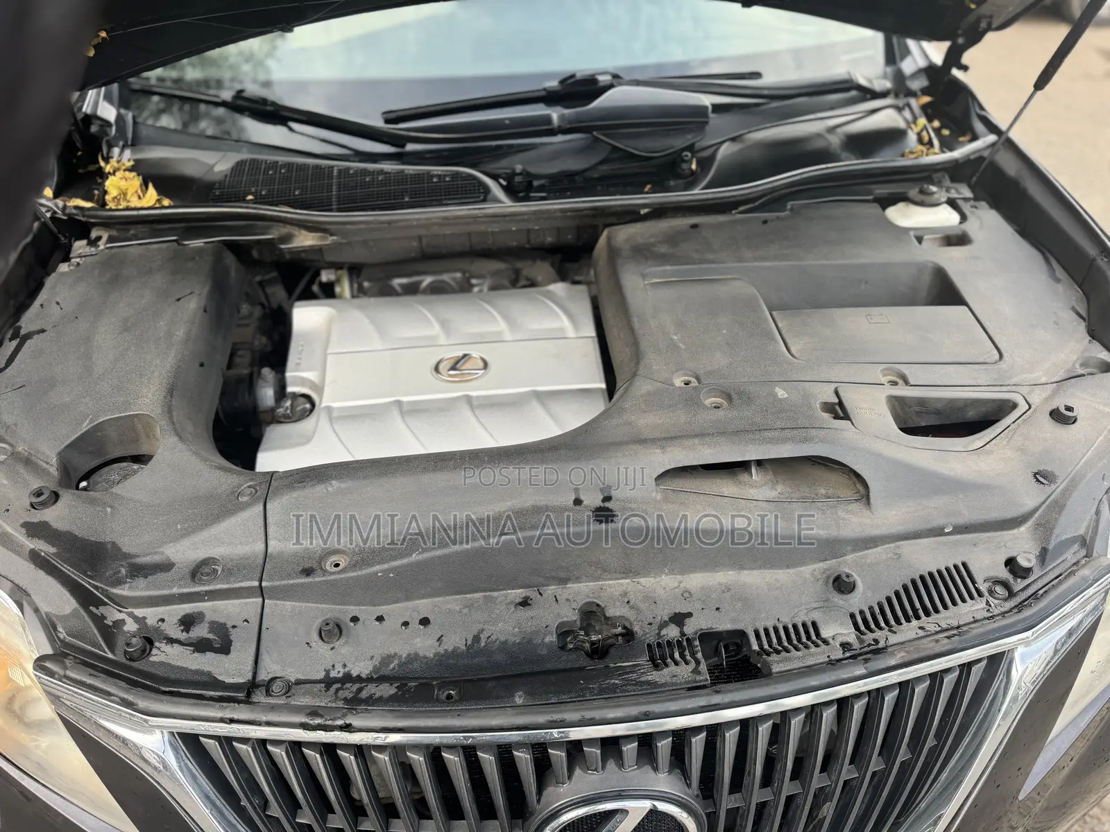 Lexus RX 350 2010 Gray