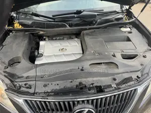 Lexus RX 350 2010 Gray