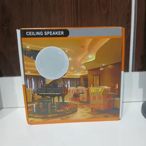 Hifi Ceiling Speaker