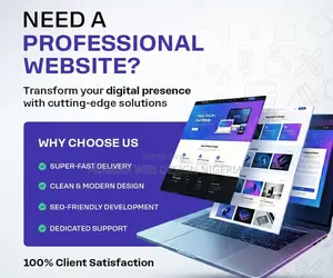 Professioner Web Designer and Website Developer in Edo