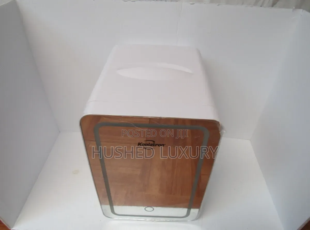 Portable Mini Refrigerator