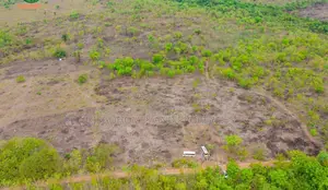 Affordable Plantain Farm Land for Sale in Abeokuta Ogun State
