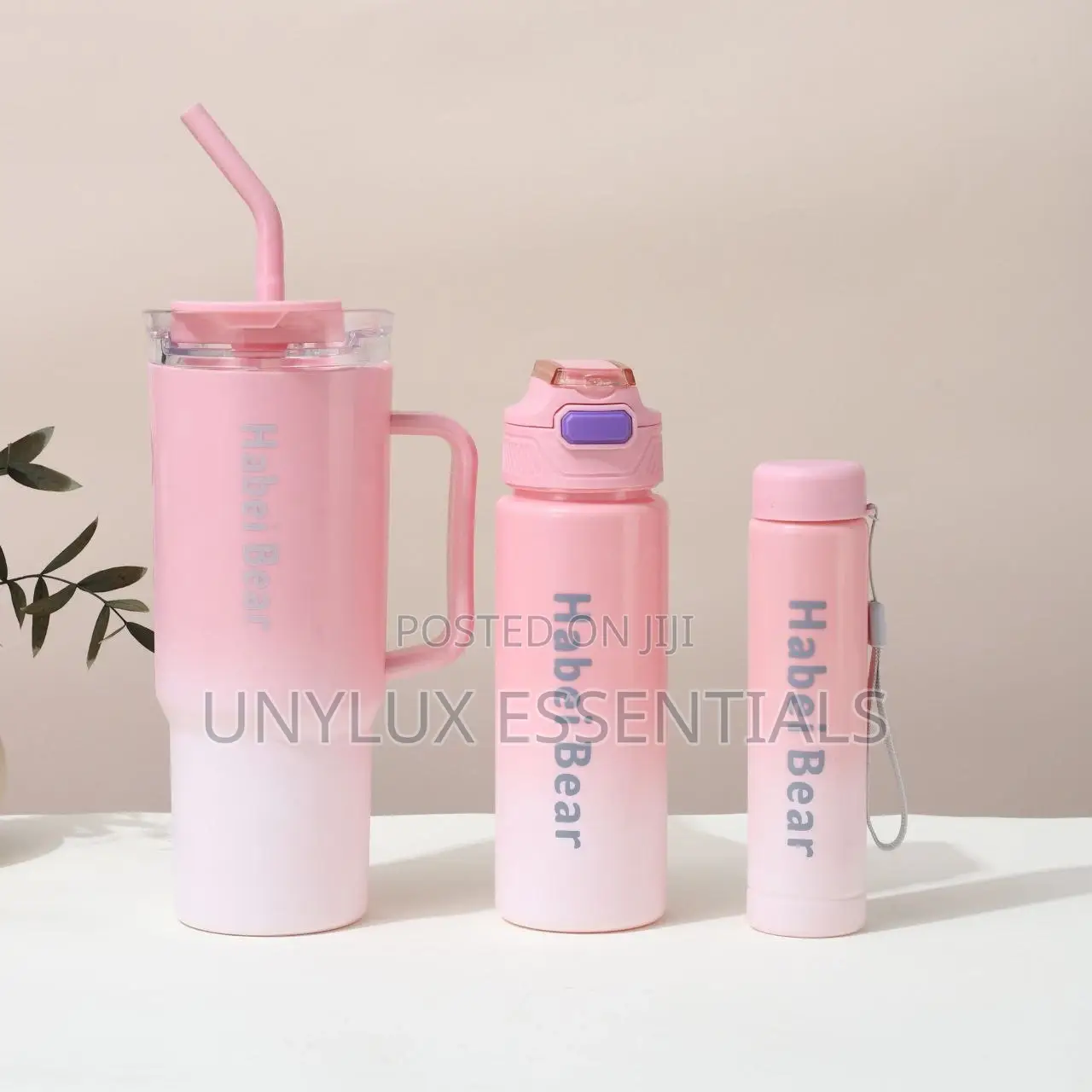 3in1 Bear Bottle