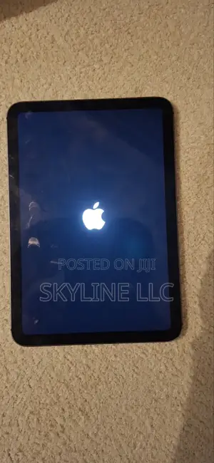 Apple iPad mini 6 64 GB Gray
