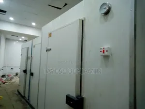 Technical Director